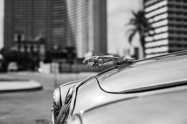 BetRegal Casino Aplicación Android/iOS